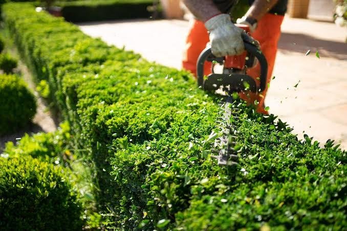 Landscape Services Dubai