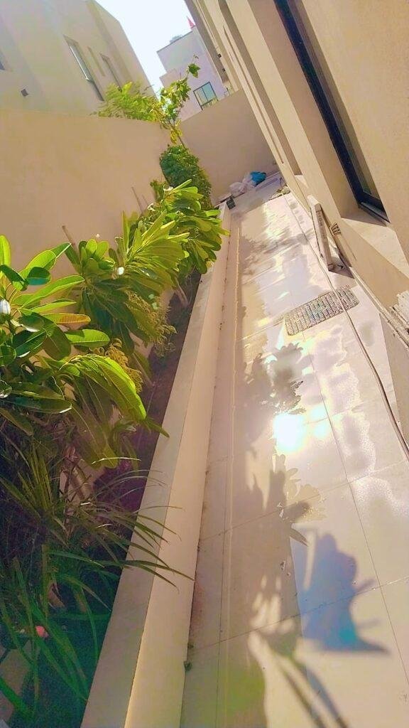 Landscaping Maintenance Guide for Dubai