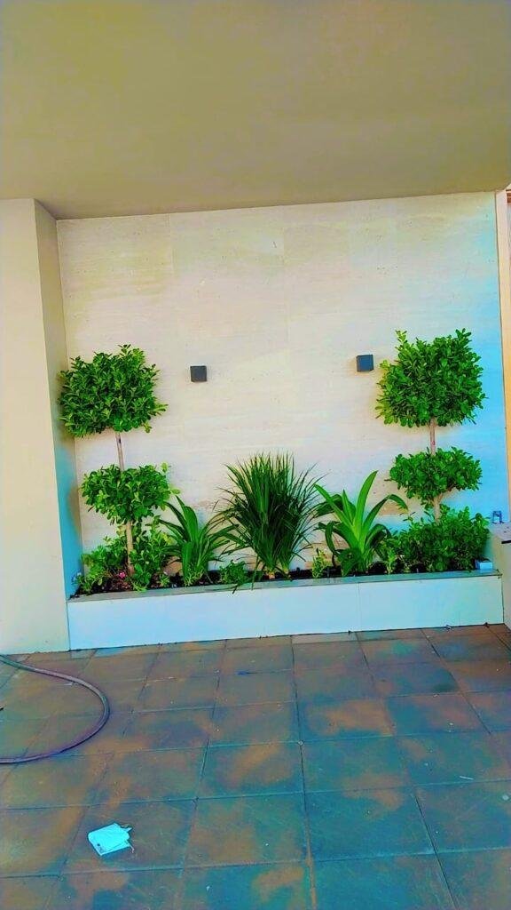Best Garden Care in Dubai